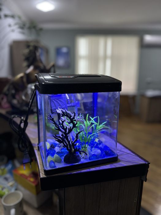 Akvarium mini xitoy