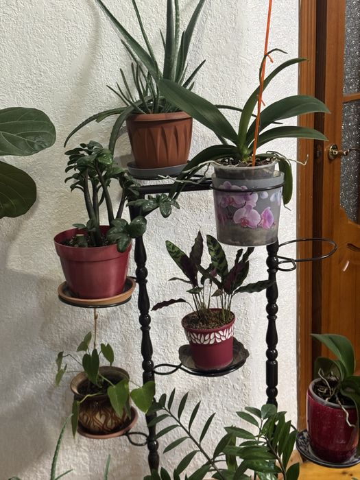 Подставка для цветов производство. Зета. Очень удобная переносная из м