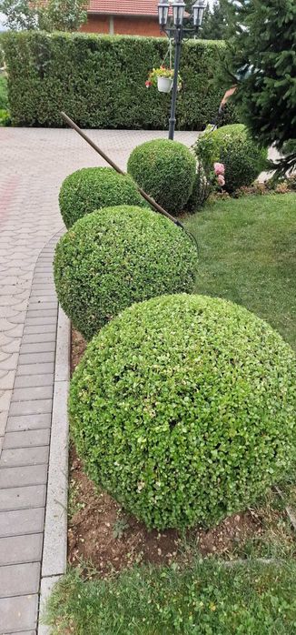 Извършване на озеленителни и почистващи услуги