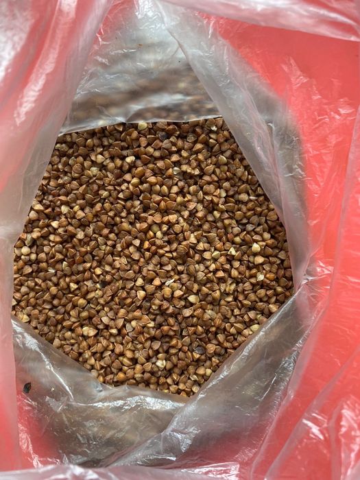 Продам гречневую крупу оптом.