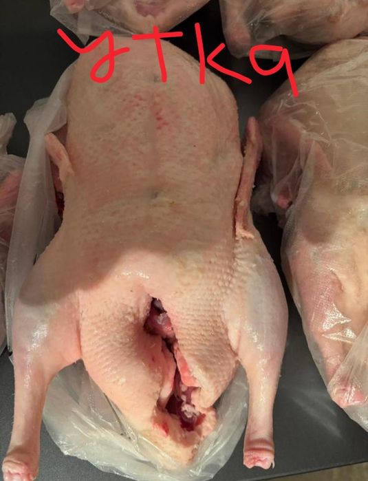 Продам мясо домашней птицы