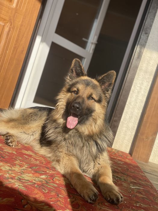 Кабель ВЕО на вязку