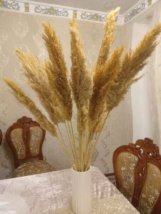 Перья павлина и сухоцвет камыша