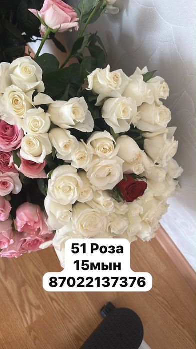 Свежие розы, цветы