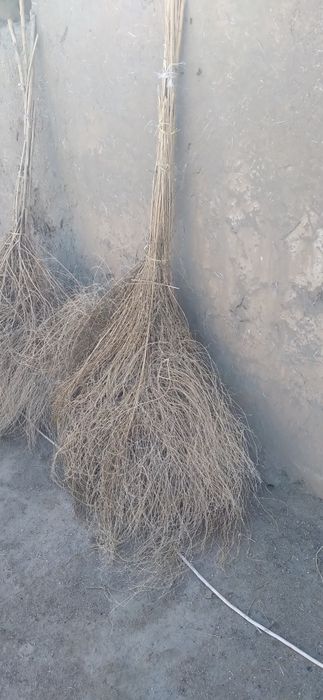 Ko‘cha supuradigan supurgi