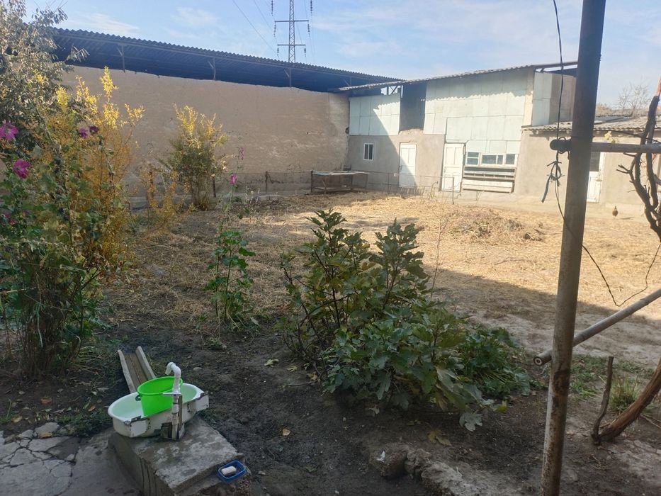 Участка сотилада срочно