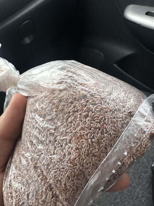 Псиллиум семена подорожника 100г