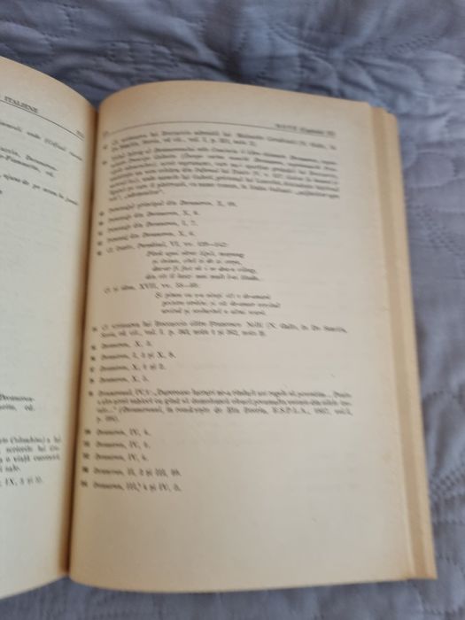Istoria literaturii italiene, Francesco de Sancțiuni.