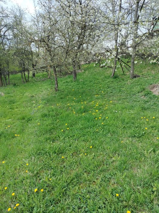Teren  intravilan de vânzare – Ipotești, Suceava | 
Oportunitate excelentă pentru construcția unei case, cabane sau