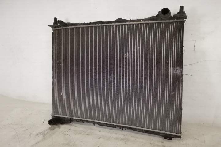 Оригинален Воден Радиатор в Добро Състояние 4.4 D Ленд Роувър / Land R