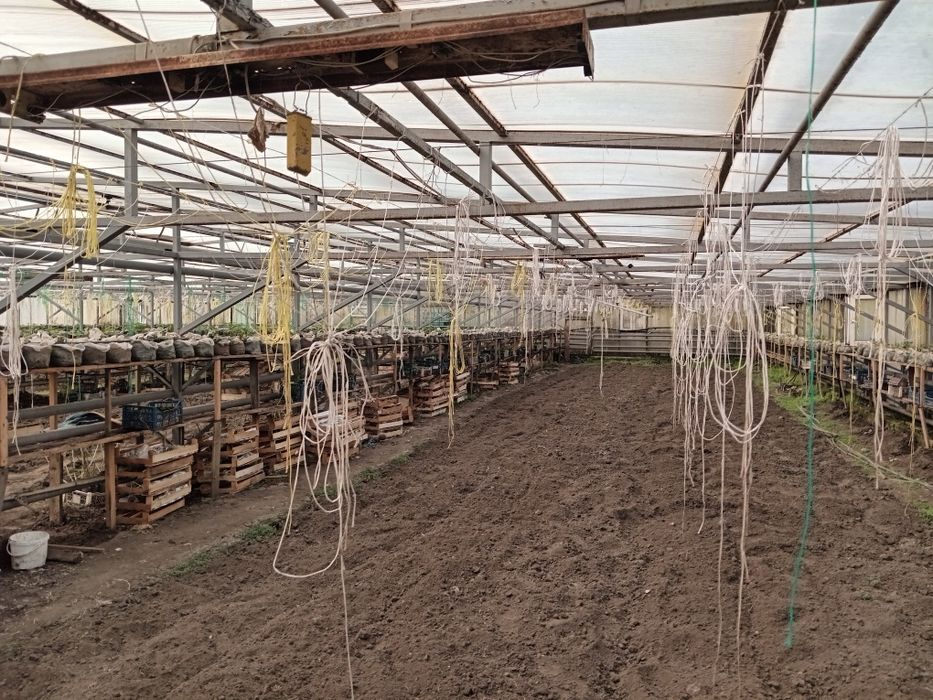 Дача недвижимость