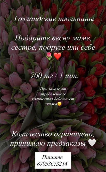 Цветы тюльпан звоните