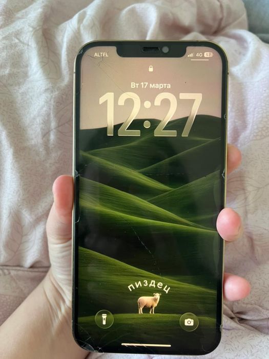 Айфон 12 Про макс