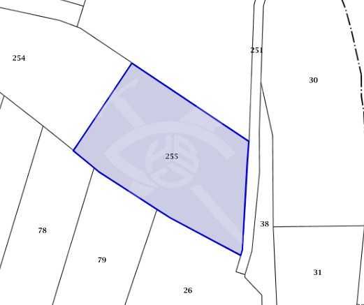 Два съседни парцела в с.Първенец 53126