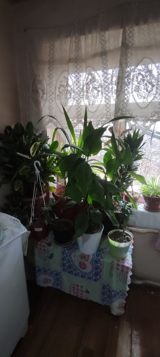 1 ком квартира Мирзо Улугбек район сдаётся