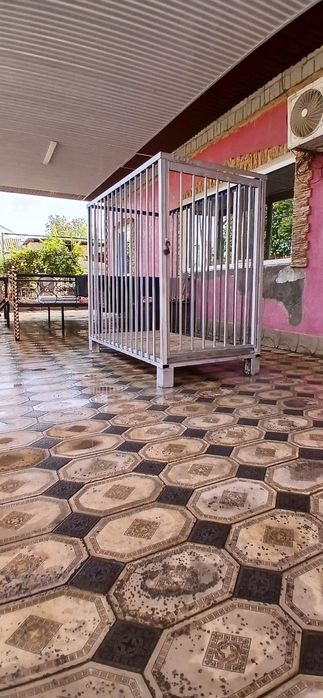 Боксёр немецкий.