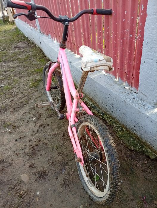 Bicicleta pentru copii