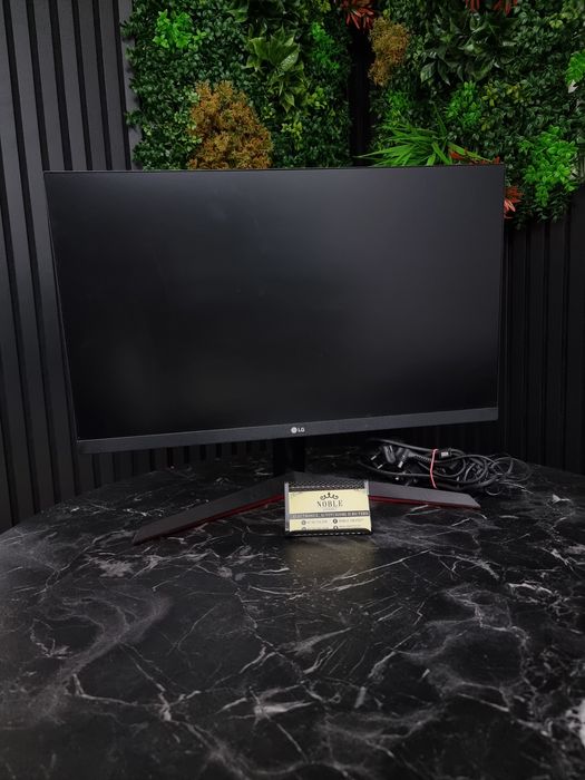 Noble Amanet - Monitor LG 24MP6OG