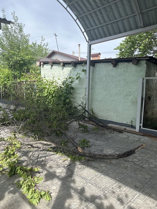 Бесплатно дрова ..
