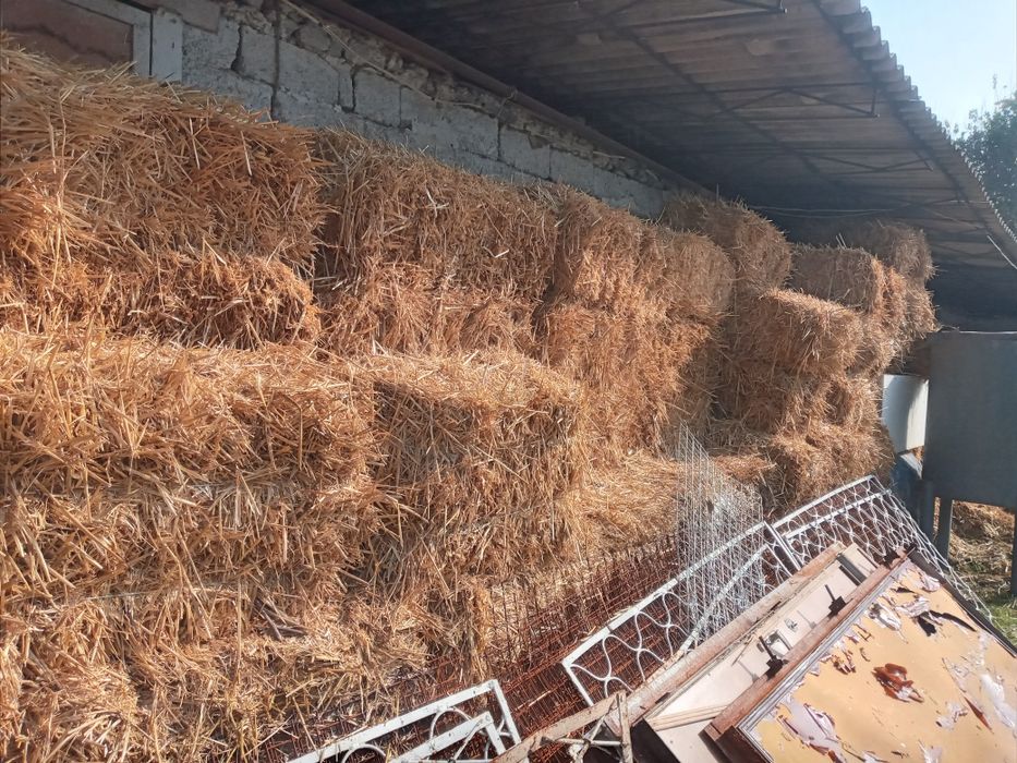 Somon press sotiladi