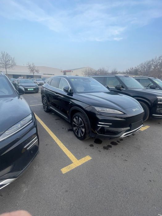 Other Song Plus EV Champion 2025 — 3