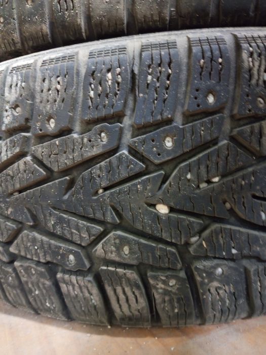 Авторезина нордман