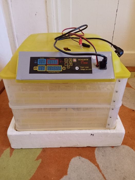 Инкубатр для яйц