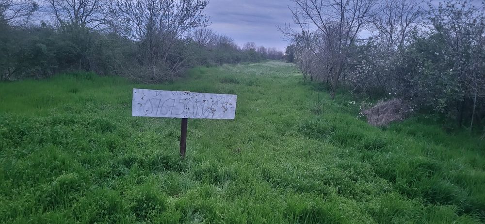 Vand Teren Petrachioaia 870mp