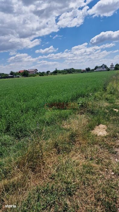 Teren intravilan 9.470 mp – Bolintin-Deal, locație excelentă