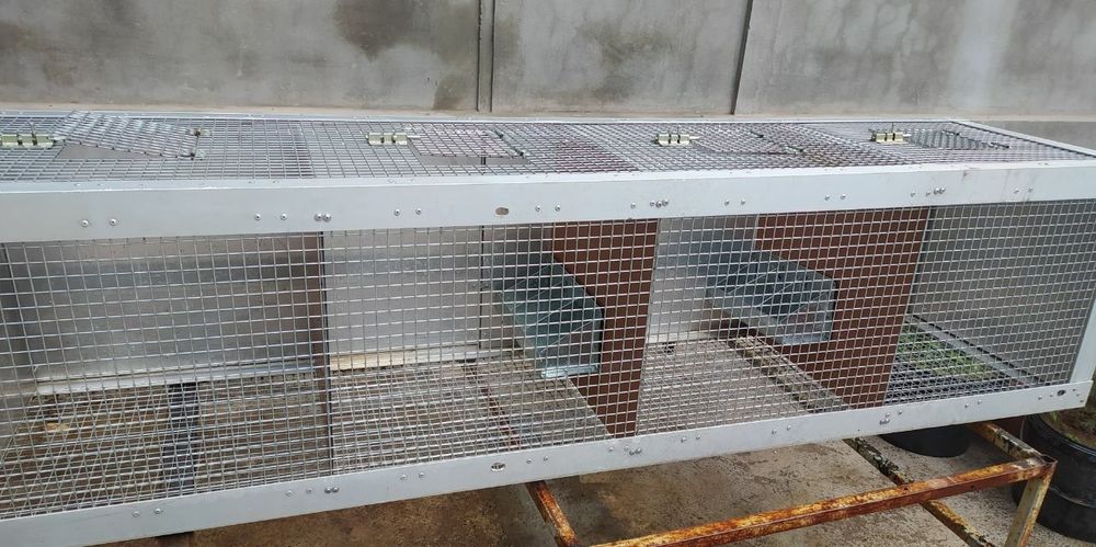 Куён ва товуклар учун кафас сотилади