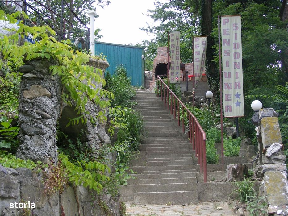 Se Vinde Pensiunea Sidonia din Calimanesti