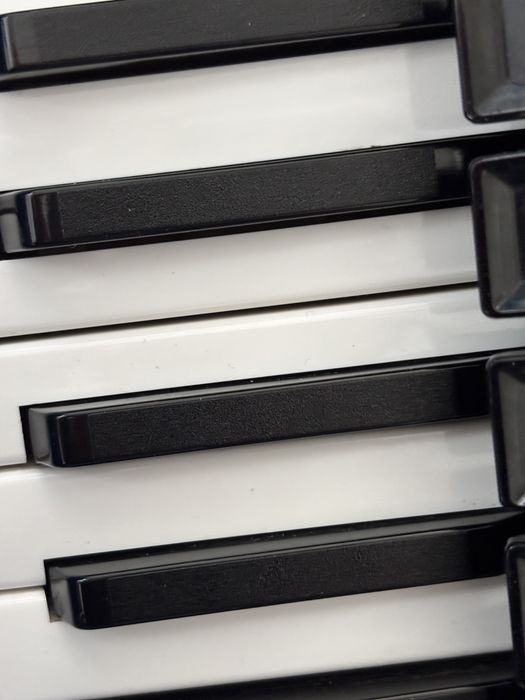 Acordeon Weltmeister Stella 96 basi NOS