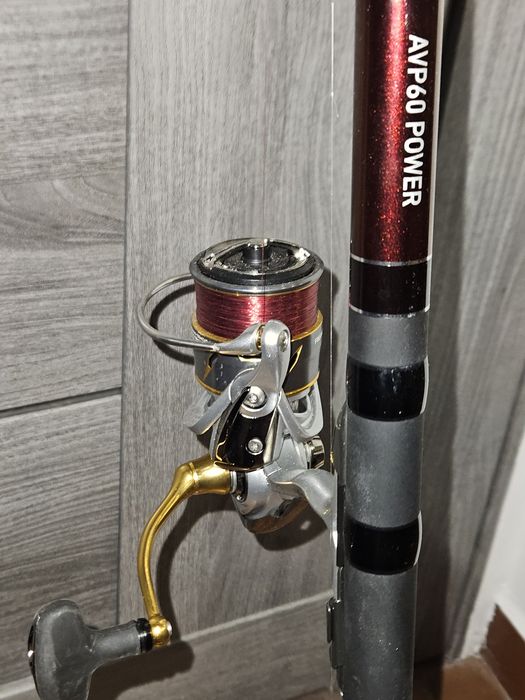 Daiwa Amorphous Power 6m plus Daiwa Freams 3000 cxh