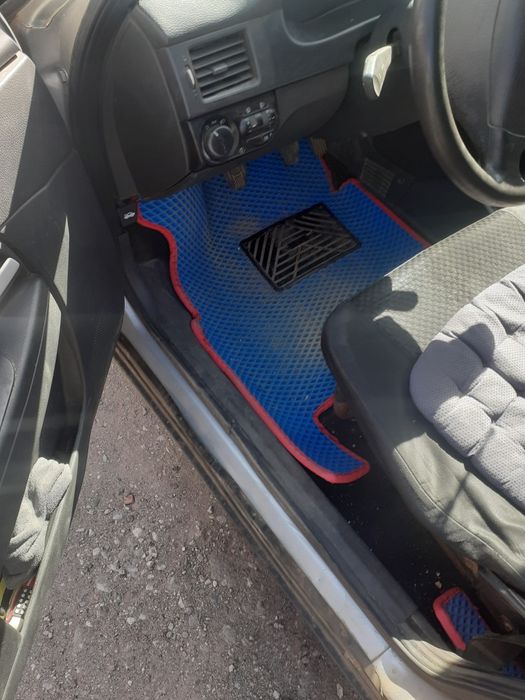 Полики Ева приора