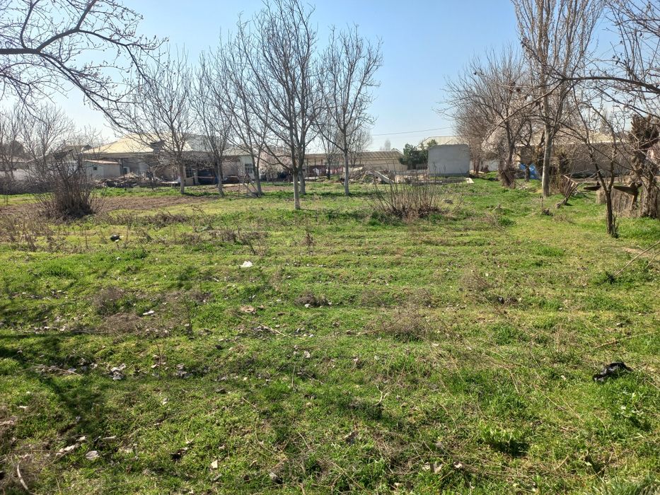 Гулистон шахар Истиклол махалласи, Истиклол кучаси, 15 сотих