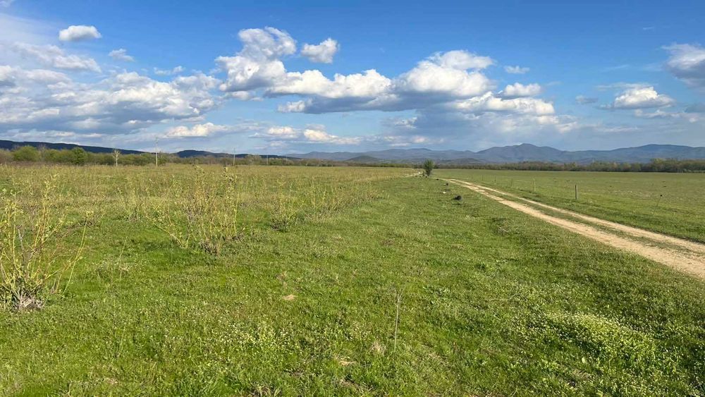 Продава се Земеделски имот в Карлово -  кв.м за 2 €/дка - Снимка #4