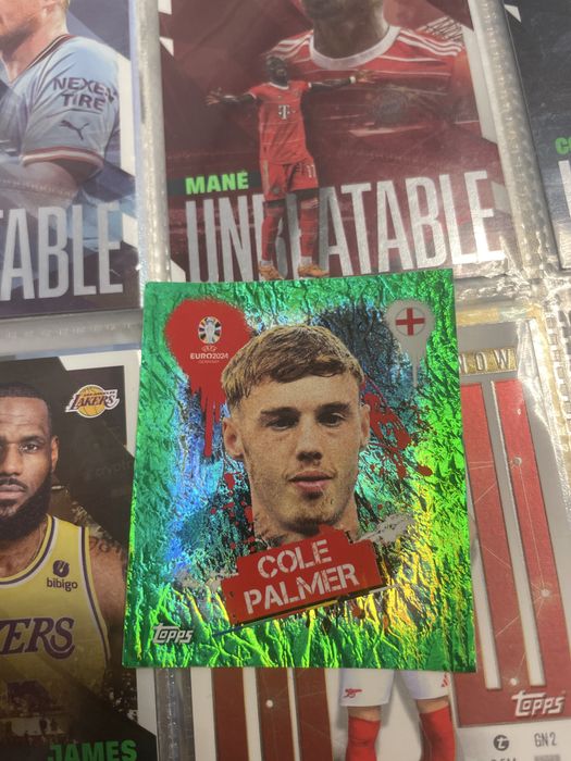 paralela verde palmer euro 2024 sticker