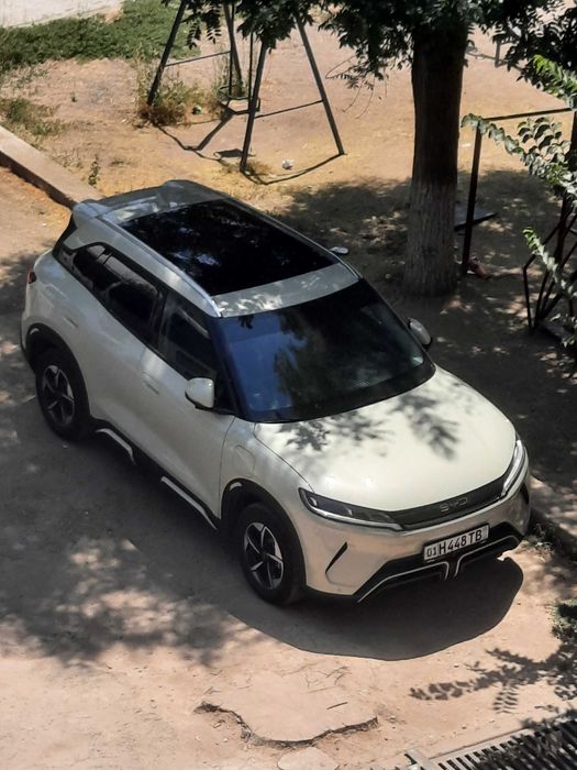 Byd yuan up 2026