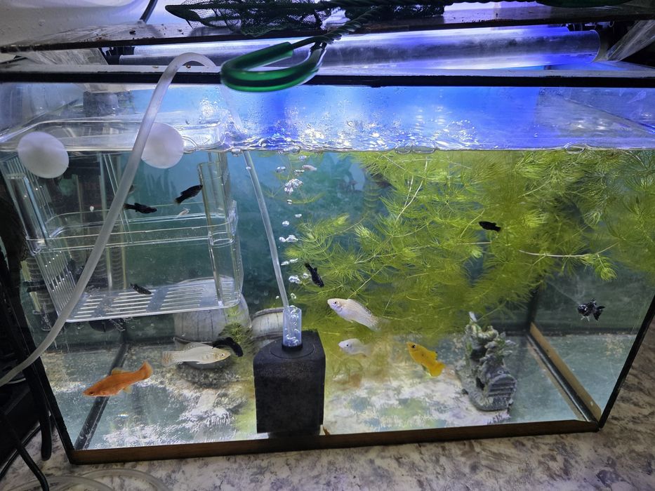 Продам авариумы 3 шт