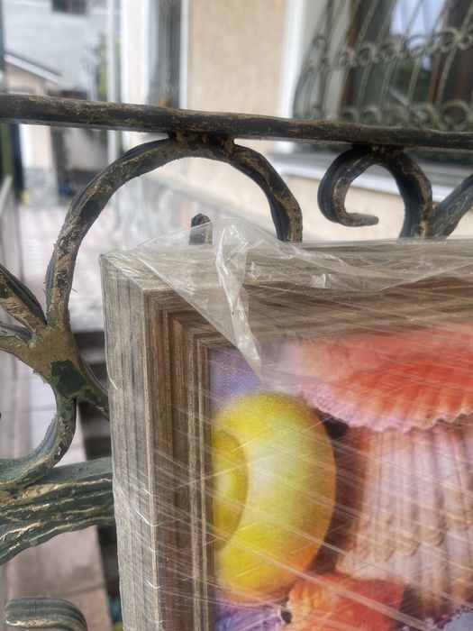 Постер картина РАКУШКИ