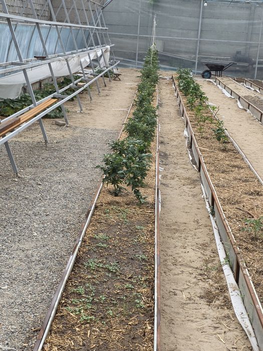 Продам дом с готовым бизнесом