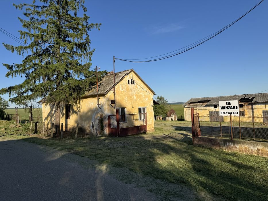 Intravilan com Mașloc jud Timis