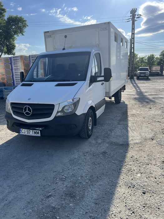 Sprinter transport animale