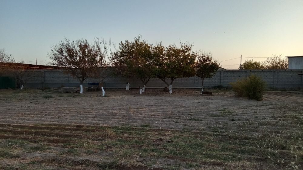 Termiz tumanida yer sotiladi kelishamiz