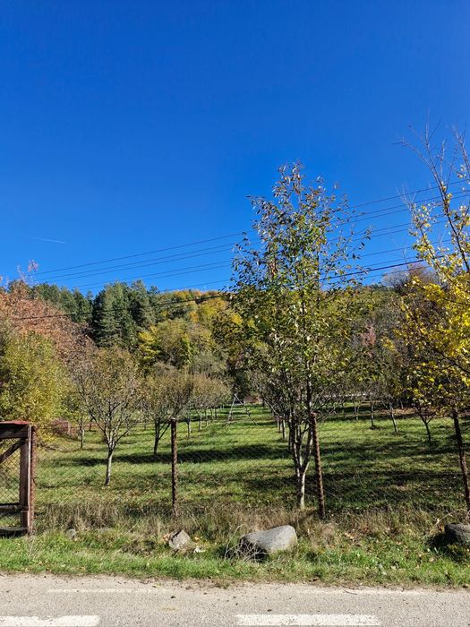 Parcelă teren pentru vânzare