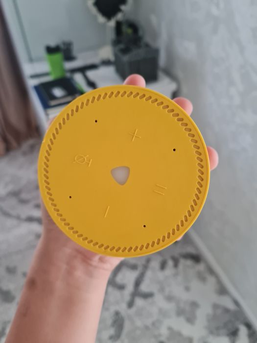 Алиса лайт новая