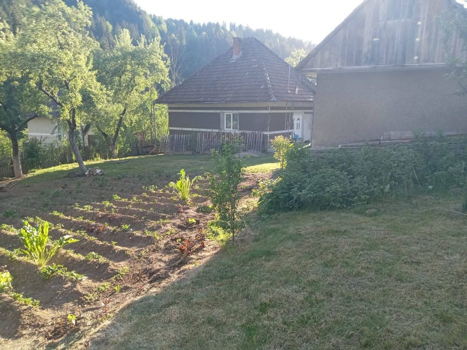 Vând Casă Scărișoara