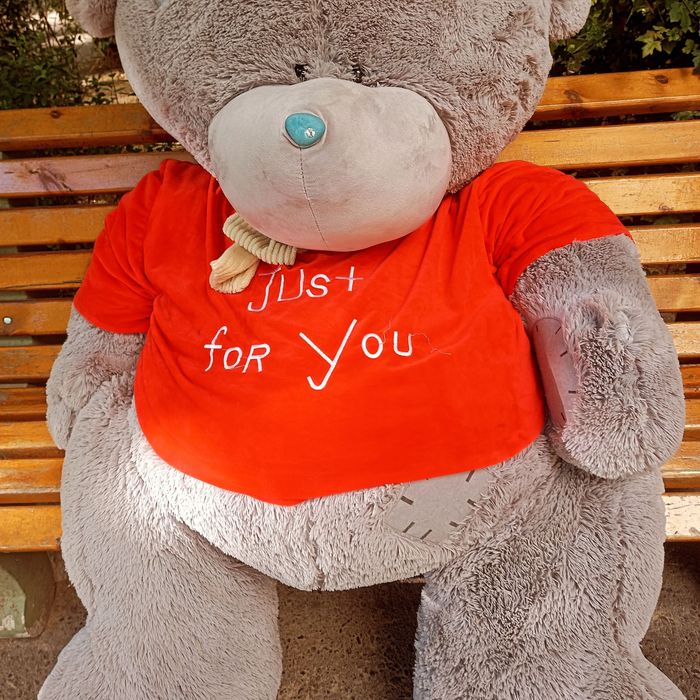 Мягкие игрушки высокого качества мишки Тедди (Teddy Bear),