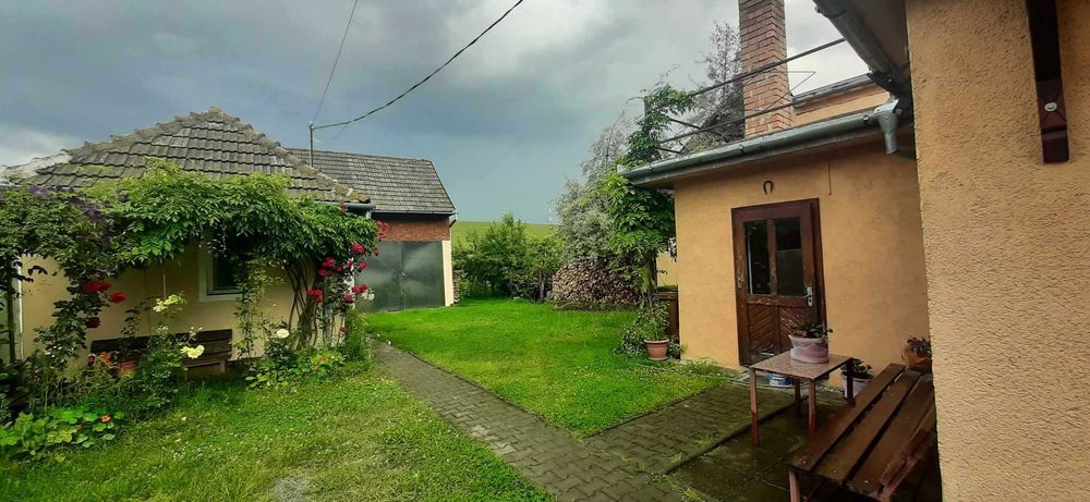 Două case de vânzare, în aceeași curte!!!