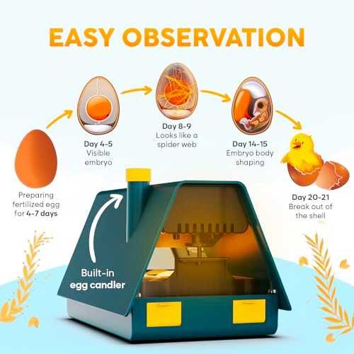 Okkobi M10 автоматичен инкубатор за 10 яйца с контрол на влажност